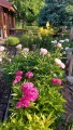 garten1