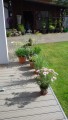 garten2